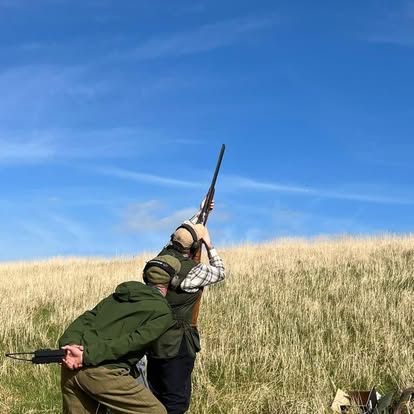 Clay pigeon shooting at Elliott Clays — targeting a high driven bird, Birkhill Estate